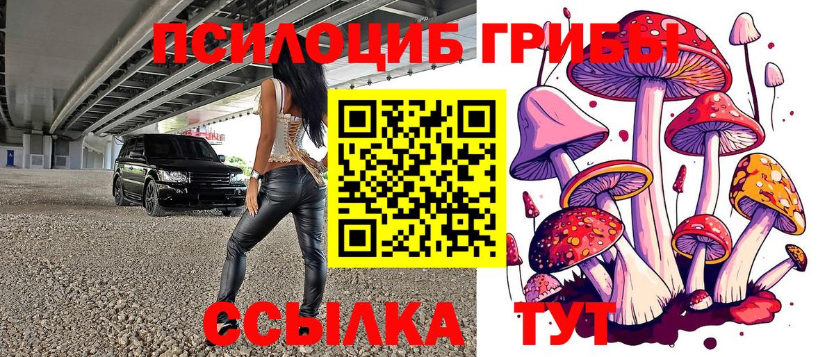 Псилоцибиновые грибы Psilocybe  Галлюциногенные грибы мицелий  Вход с VPN  Орехово-Зуево 