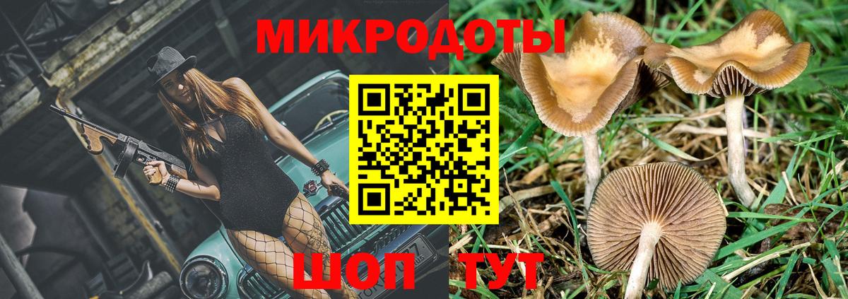 Галлюциногенные грибы Psilocybe Орехово-Зуево